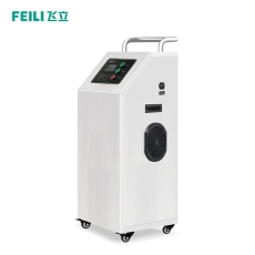 【汽車消毒臭氧發(fā)生器】FL-805QS    負(fù)離子+臭氧雙重智能消毒